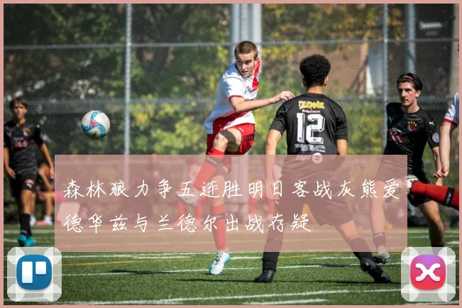 森林狼力争五连胜明日客战灰熊爱德华兹与兰德尔出战存疑